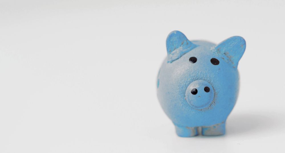 Blue savings pig on white background