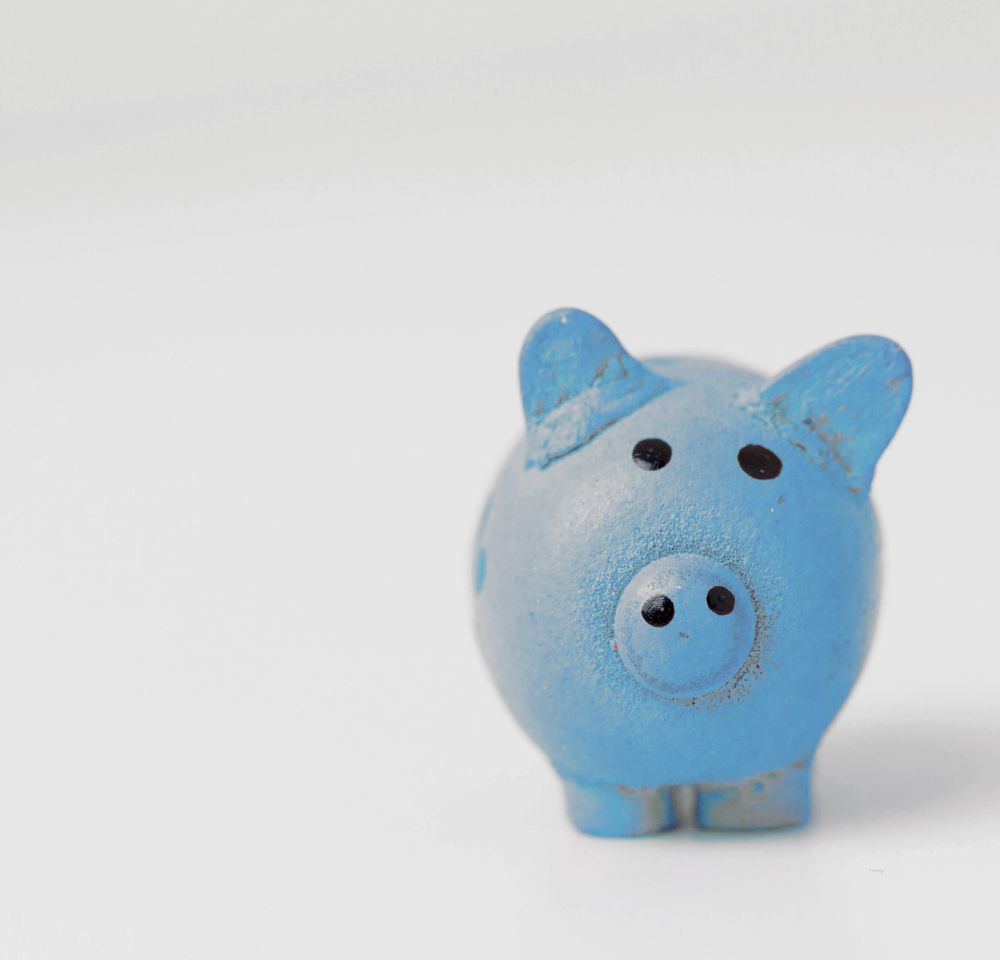 Blue savings pig on white background