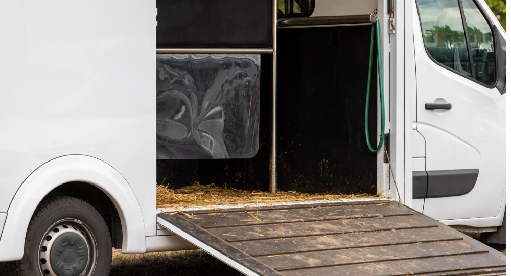 Close up of Horsebox