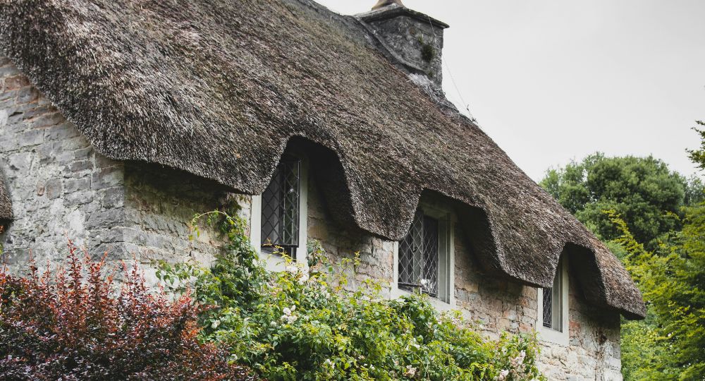 Thatched property with traditional brick and plants growing on walls