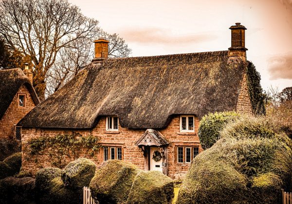 House with thatched roof in the background and bushes in the foreground