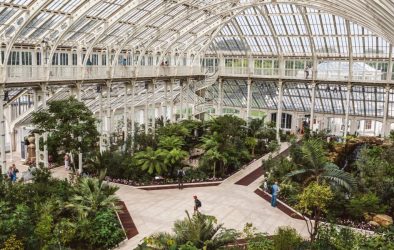 Iconic Victorian greenhouse interior