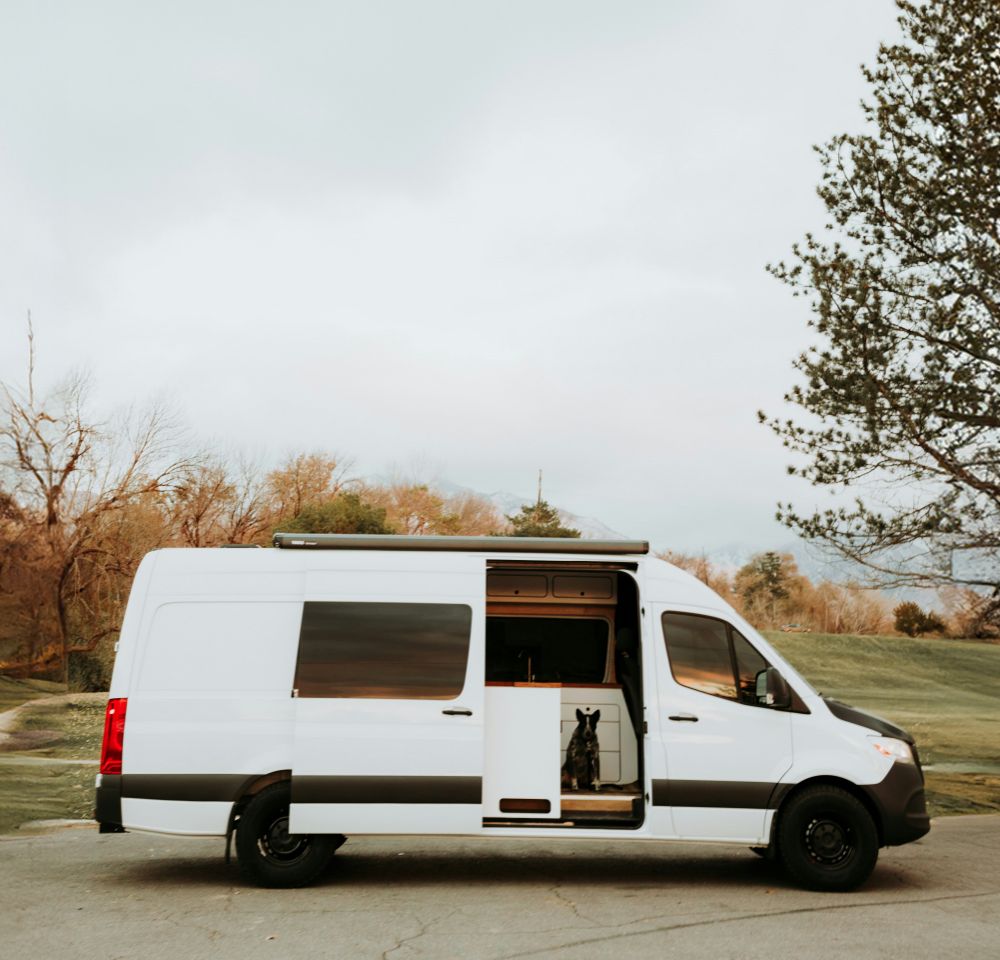 Dog in a Converted Sprinter