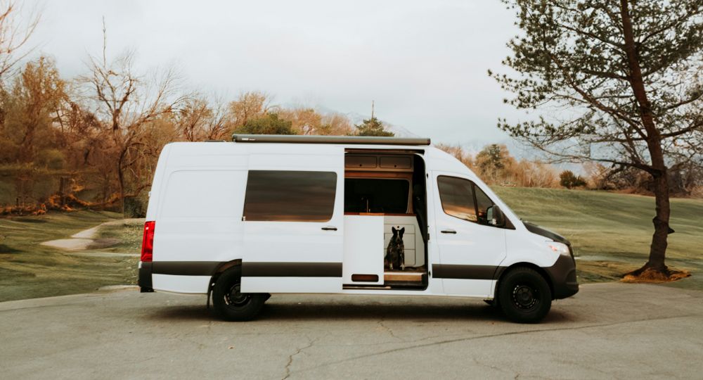 Dog in a Converted Sprinter