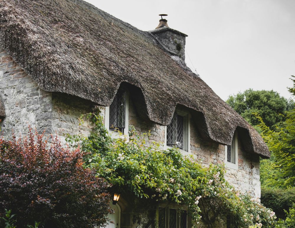 Thatched property with traditional brick and plants growing on walls