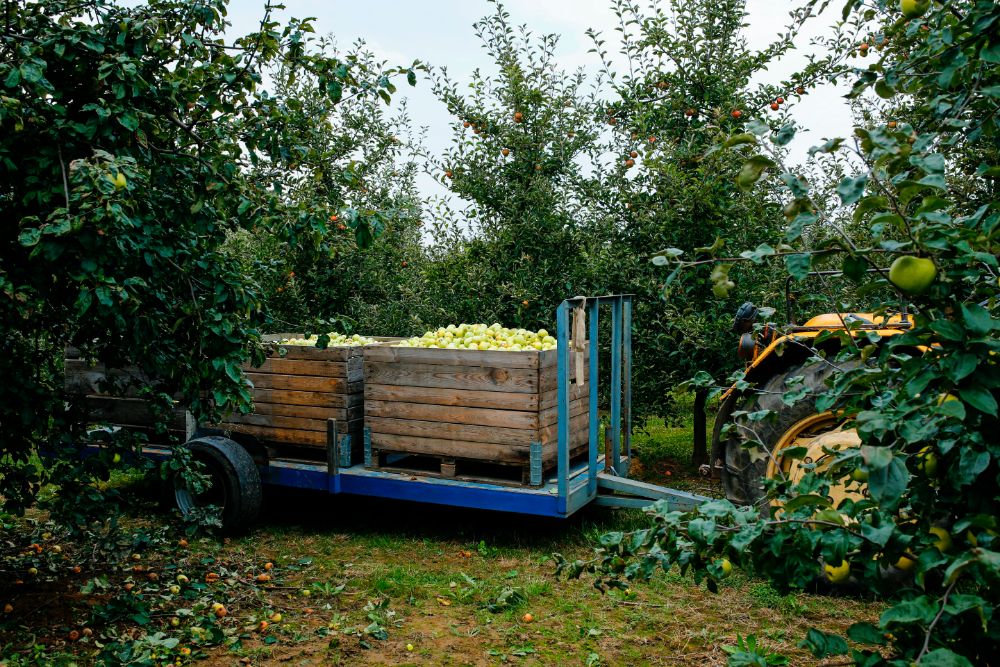 Trailer being towed by a tractor